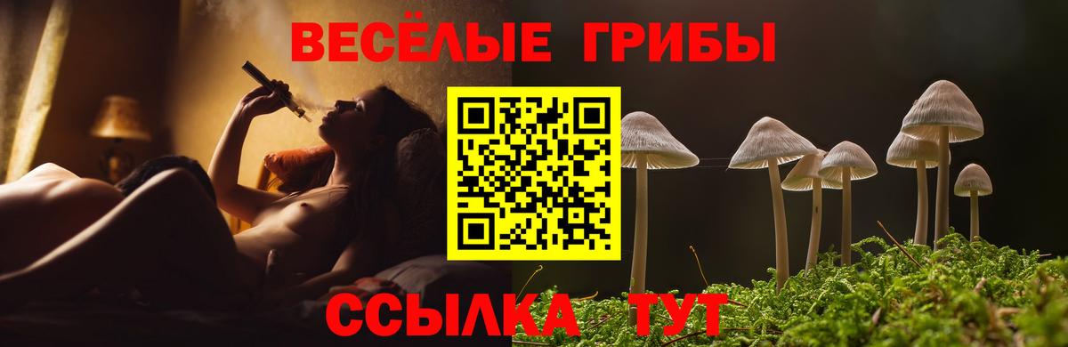 Псилоцибиновые грибы мухоморы Бирск